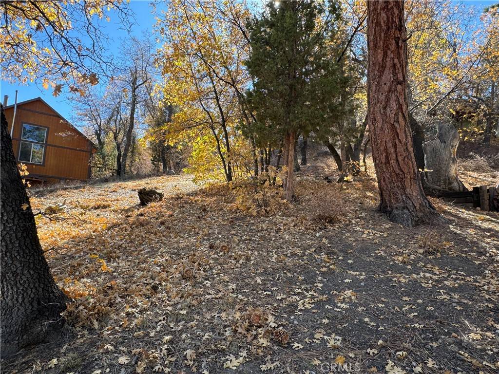 Big Bear City, CA 92314,1203 S Minton AVE