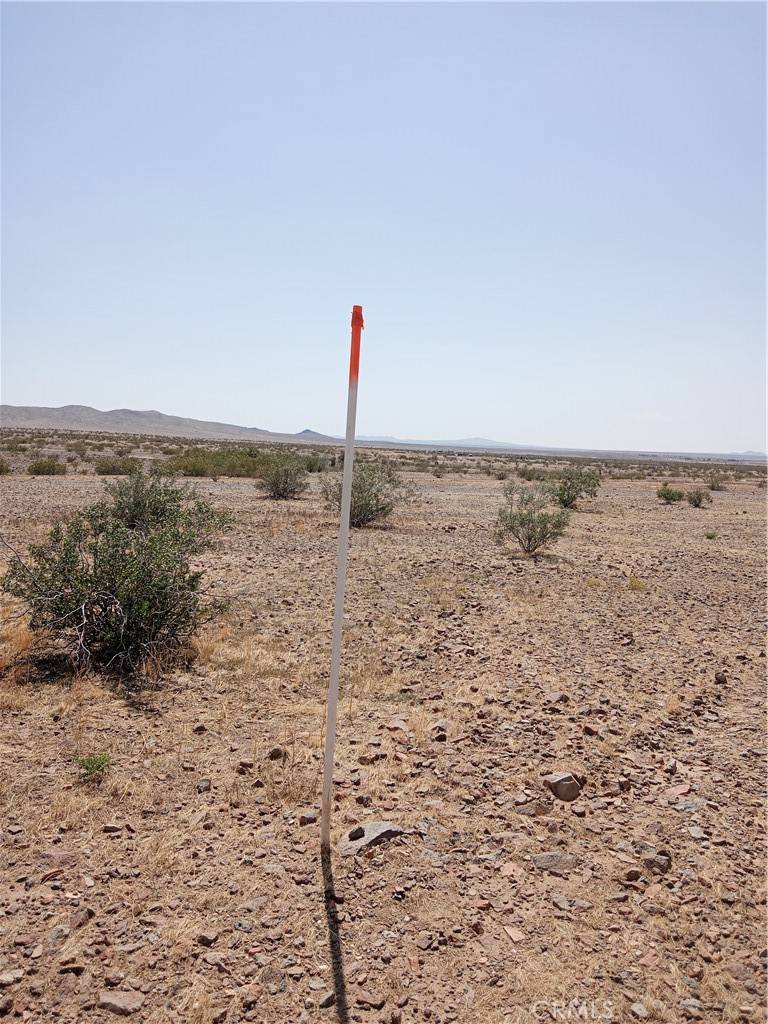 Helendale, CA 92342,13000 Horseshoe TRL