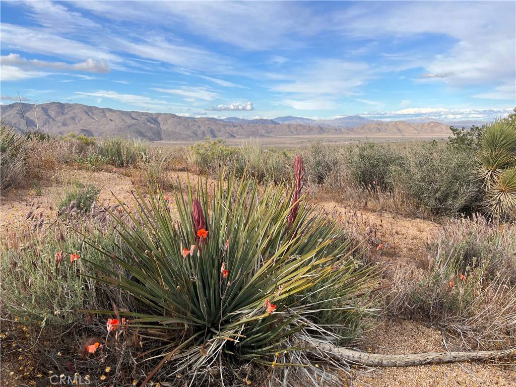 Apple Valley, CA 92308,0 Valley View RD