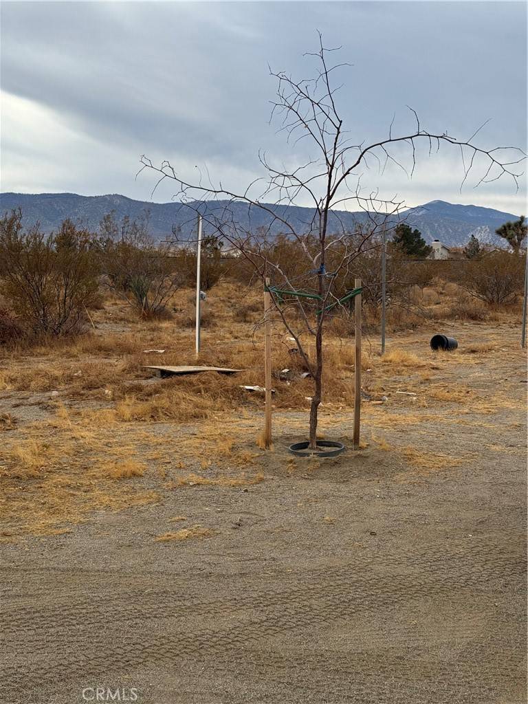 Phelan, CA 92371,3185 Olivera RD