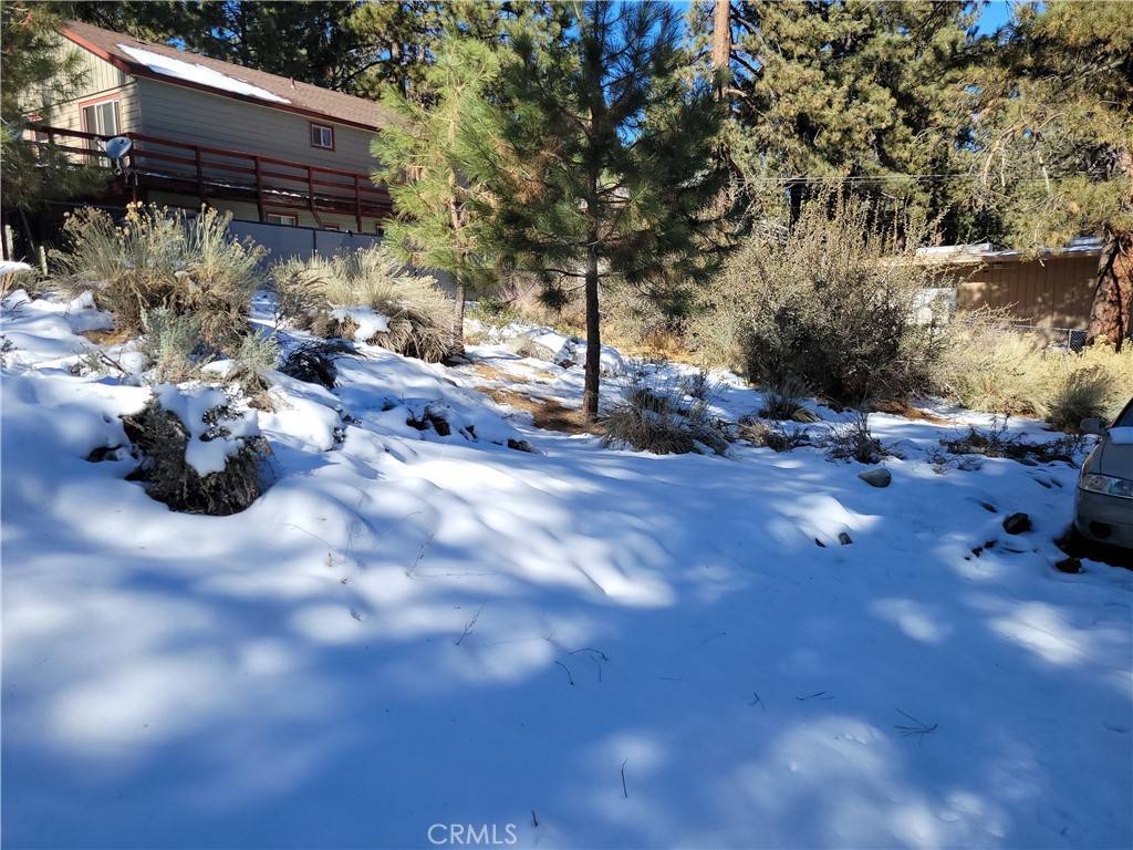 Wrightwood, CA 92397,0 Blackbird