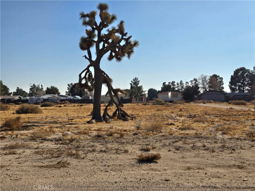 Adelanto, CA 92301,0 El Mirage 0459-521-75 RD