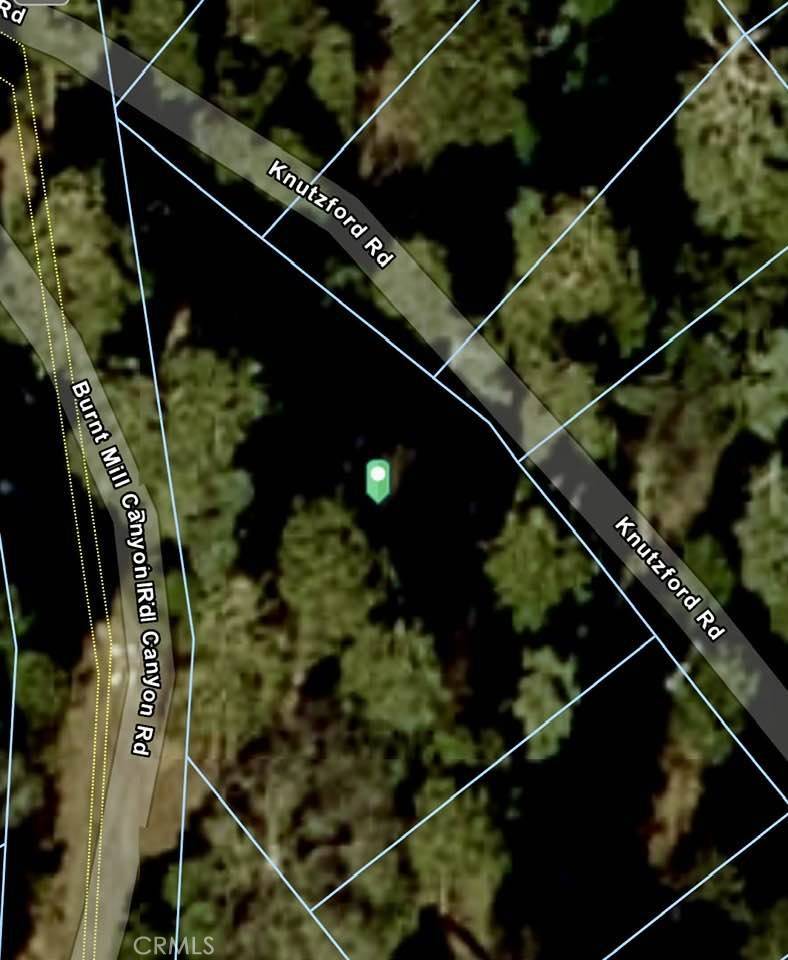 Cedarpines Park, CA 92322,0 Burnt Mill Canyon RD