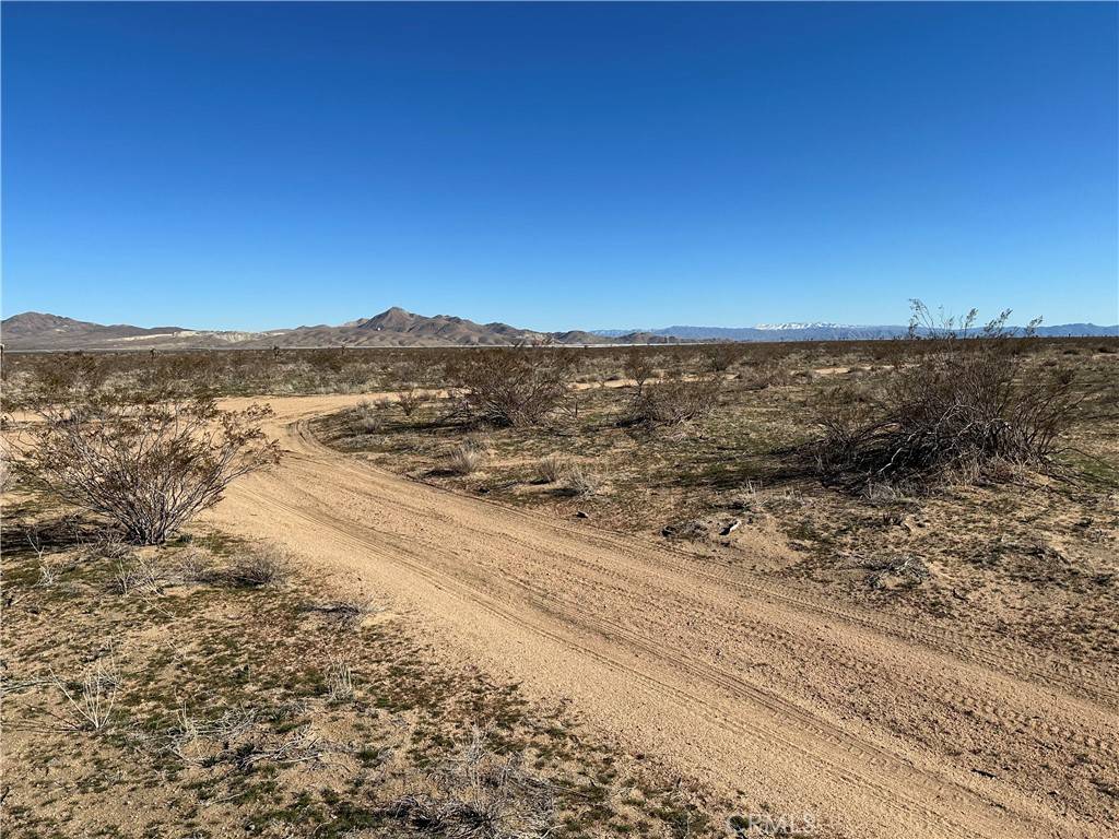 Victorville, CA 92394,11 Desert Flower RD
