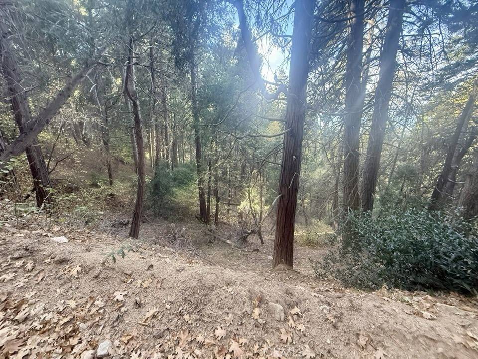 Cedarpines Park, CA 92322,61 Lot - El Valle RD