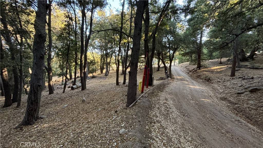 Cedarpines Park, CA 92322,722 Mojave River RD