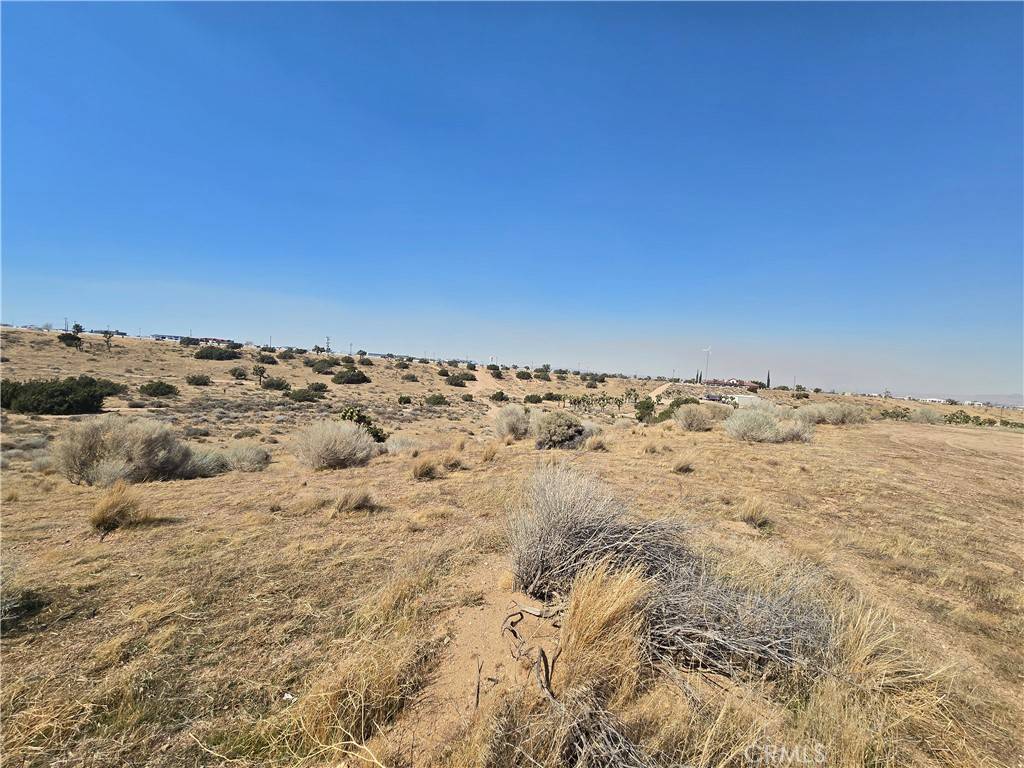 Oak Hills, CA 92344,90169 SF Palm ST
