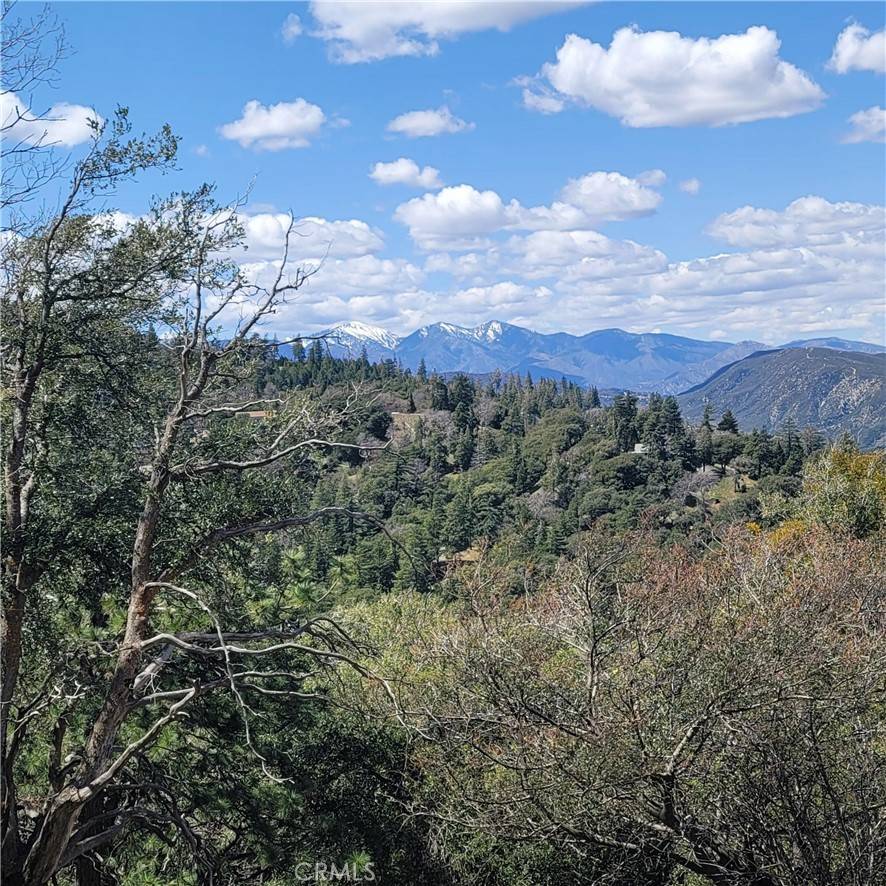 Cedarpines Park, CA 92322,3430247 Mojave View DR