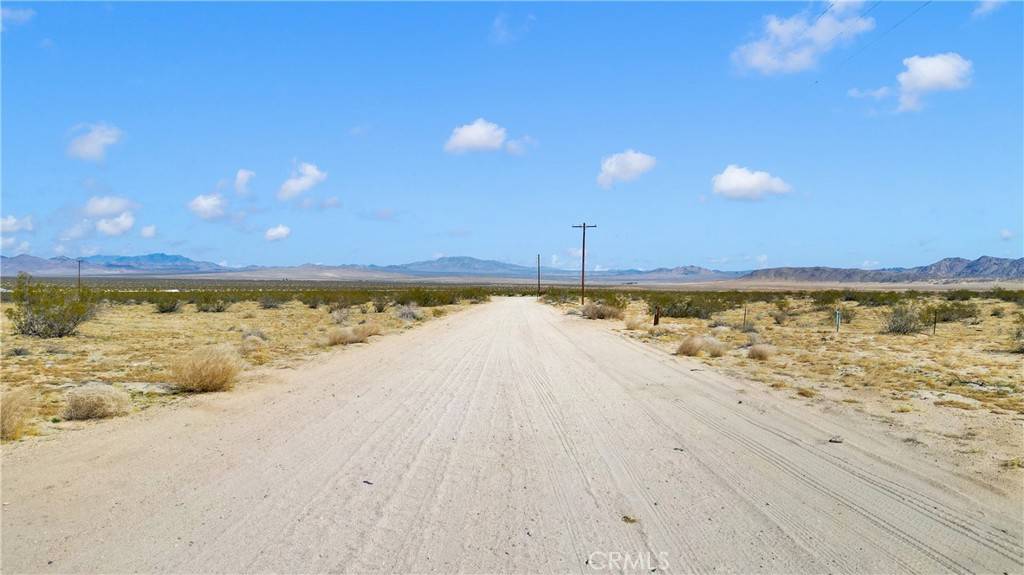 Johnson Valley, CA 92285,0 Datura