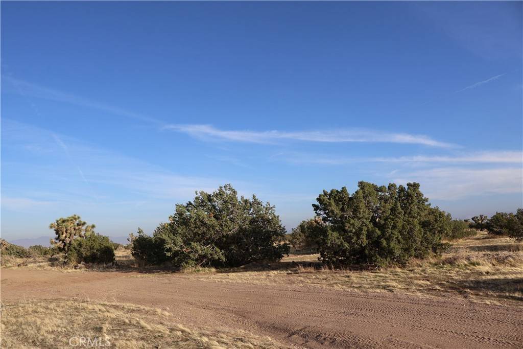Oak Hills, CA 92344,9955 Macron ST