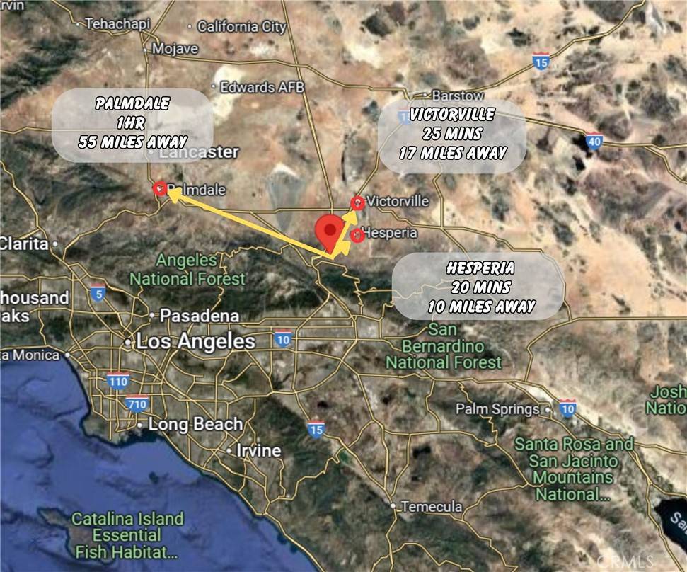Phelan, CA 92344,11 Coriander
