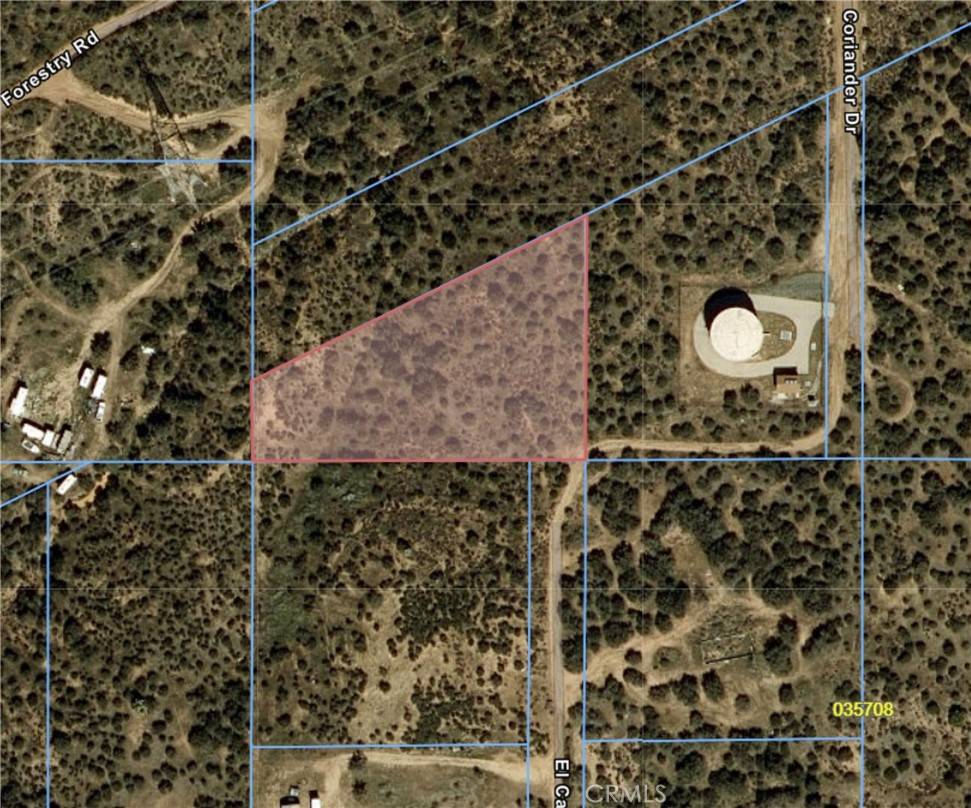 Phelan, CA 92344,11 Coriander