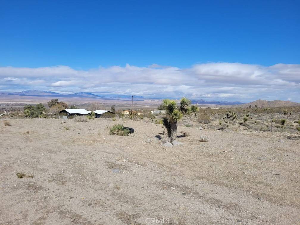 Lucerne Valley, CA 92365,0 Randell St