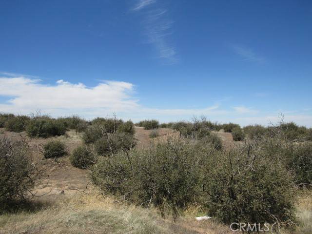 Phelan, CA 92371,0 Buttemere RD