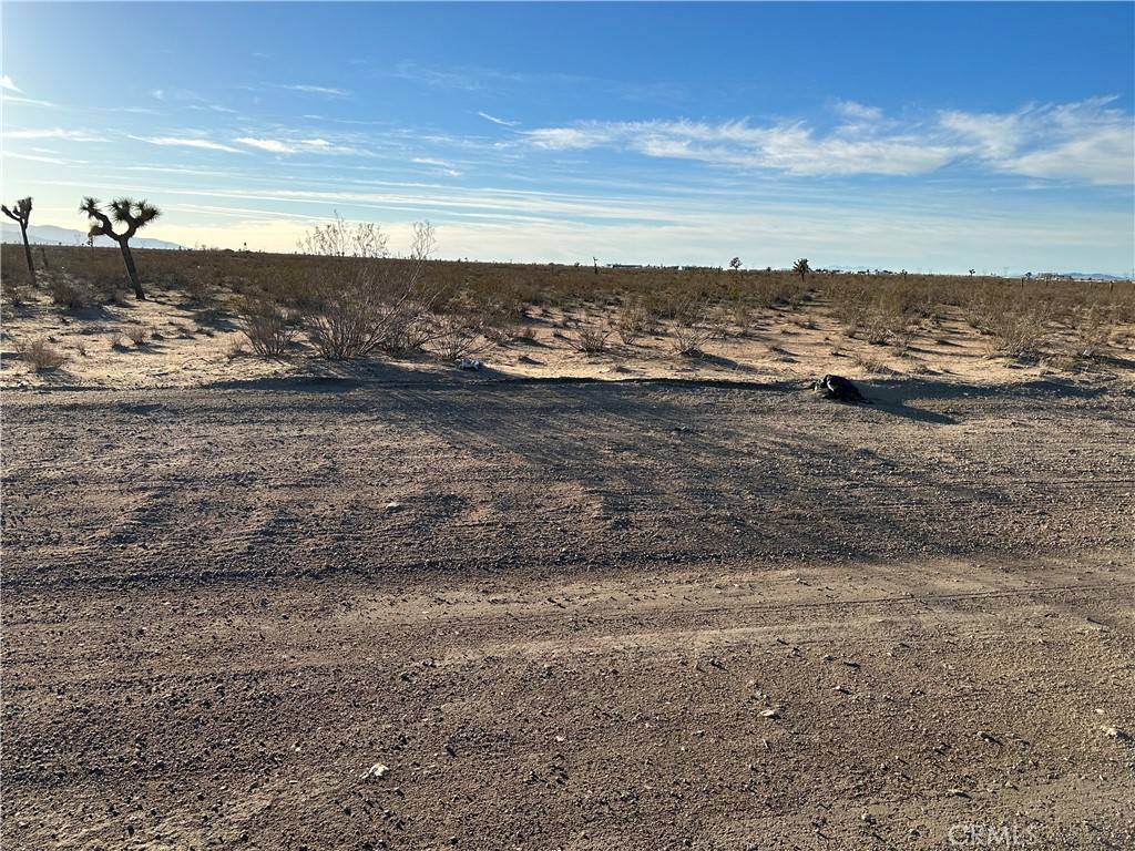 Adelanto, CA 92301,10 Koala RD
