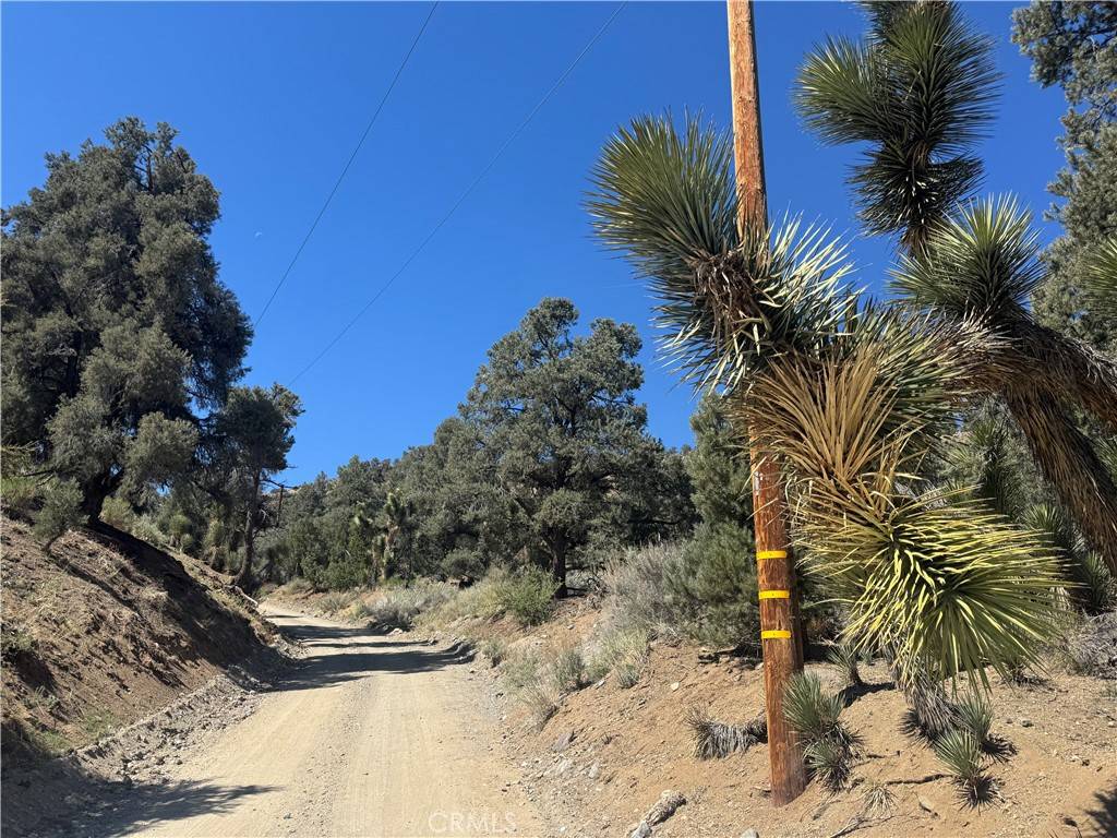 Pinon Hills, CA 92372,41112 Jack Rabbit RD
