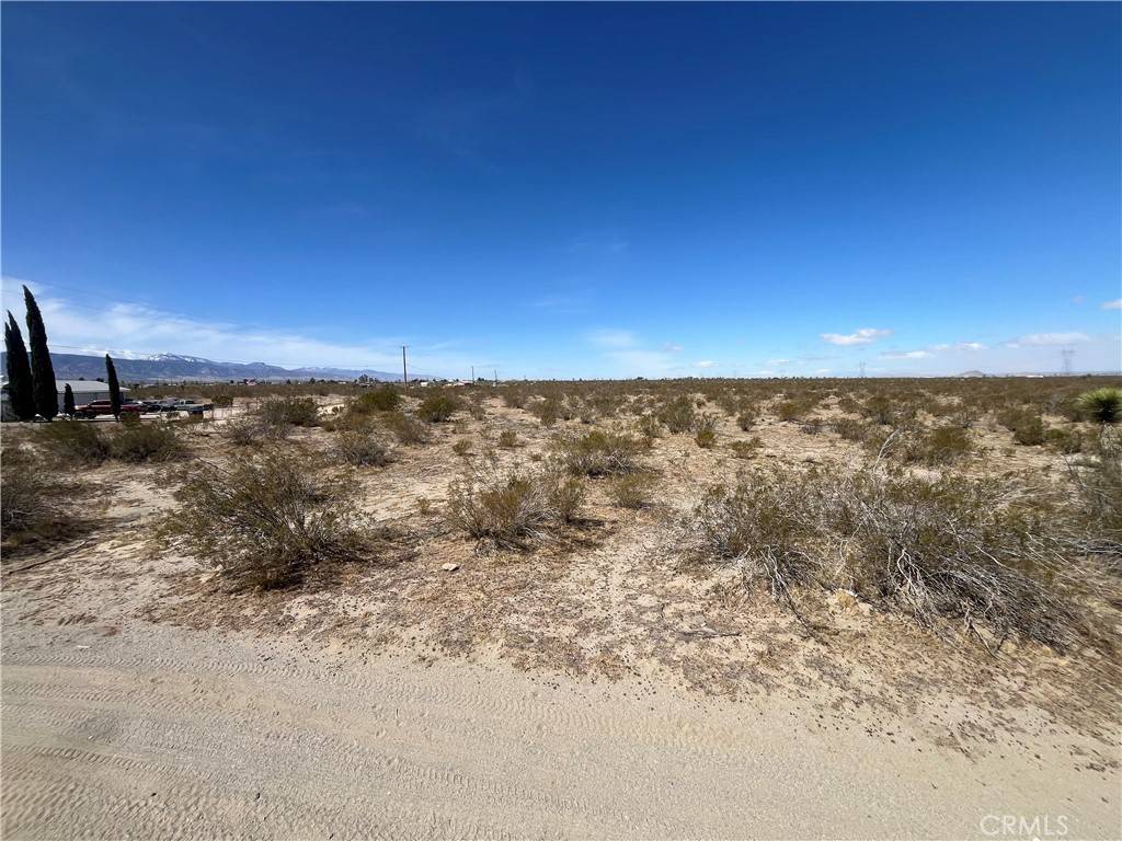 Phelan, CA 92371,0 Buttonwood ST