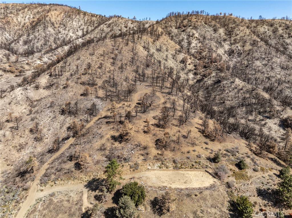 Wrightwood, CA 92397,0 North Cardinal Rd
