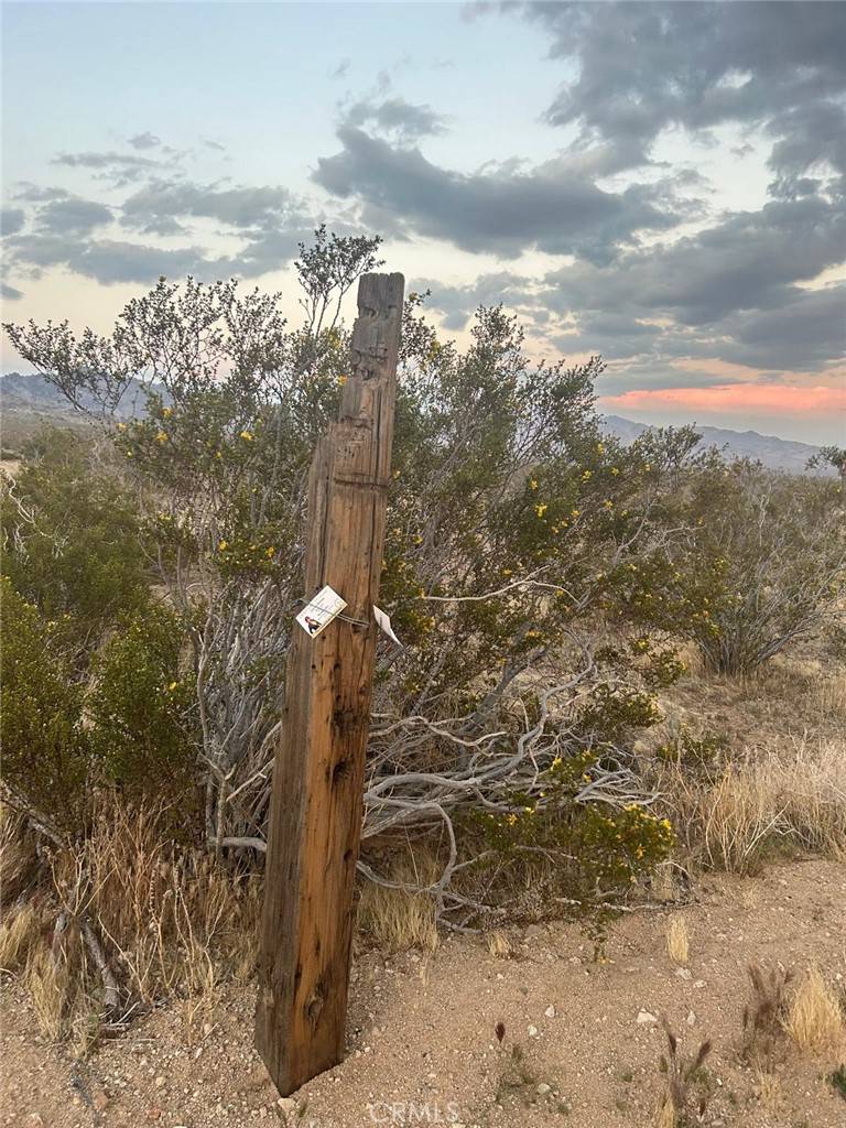 Lucerne Valley, CA 92356,0 Lucerne Valley Cut Off