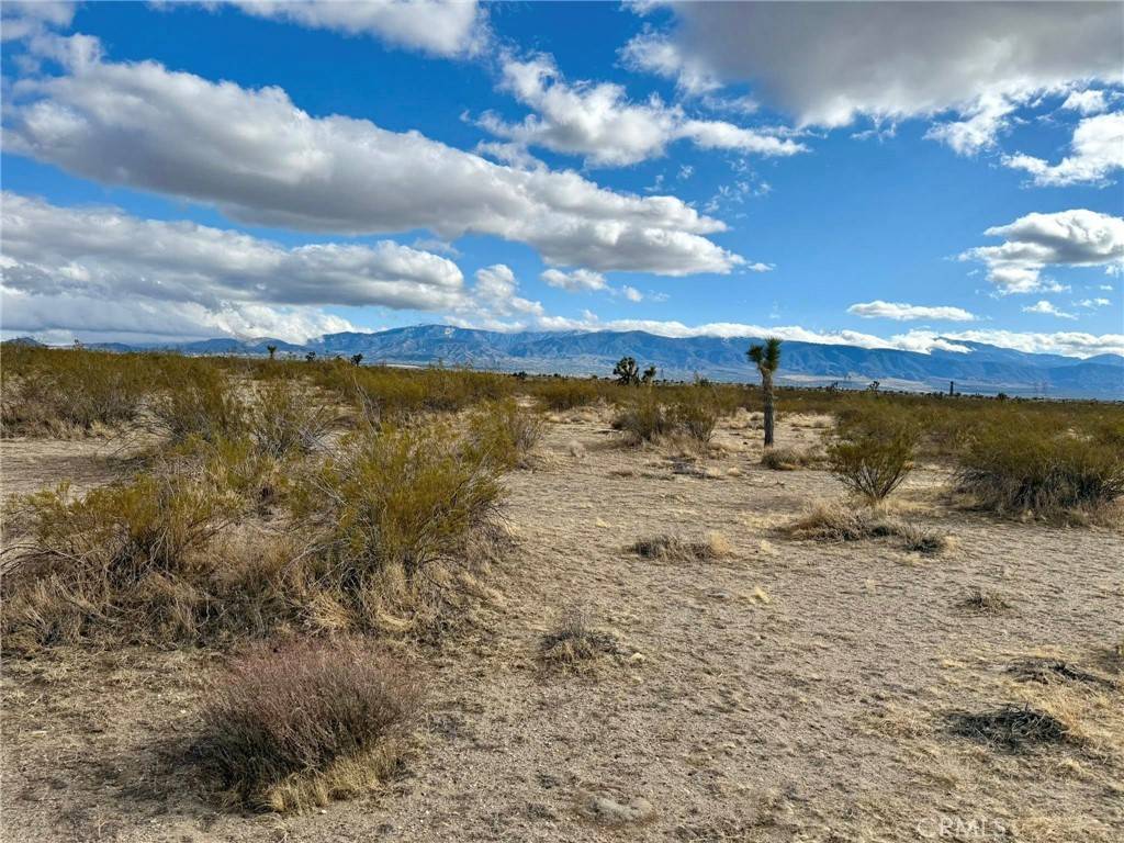 Pinon Hills, CA 92372,31005410 4 Dos Palmas AVE