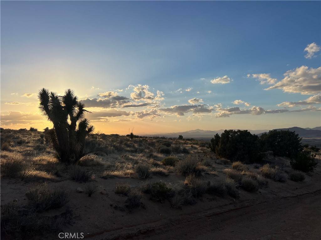 Apple Valley, CA 92308,3 Ocotillo