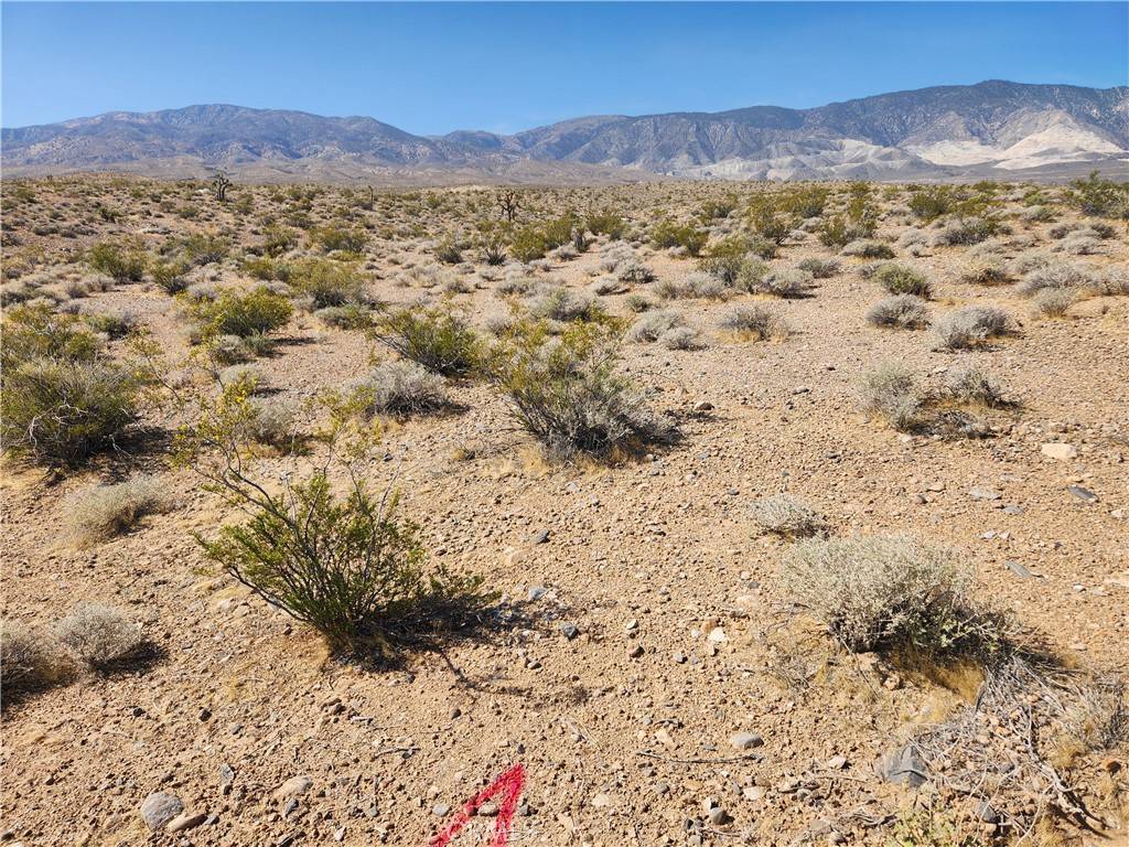 Lucerne Valley, CA 92356,20 AC Dallas AVE