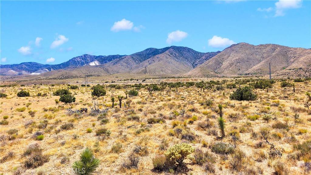 Lucerne Valley, CA 92356,0 Near Powerline Rd