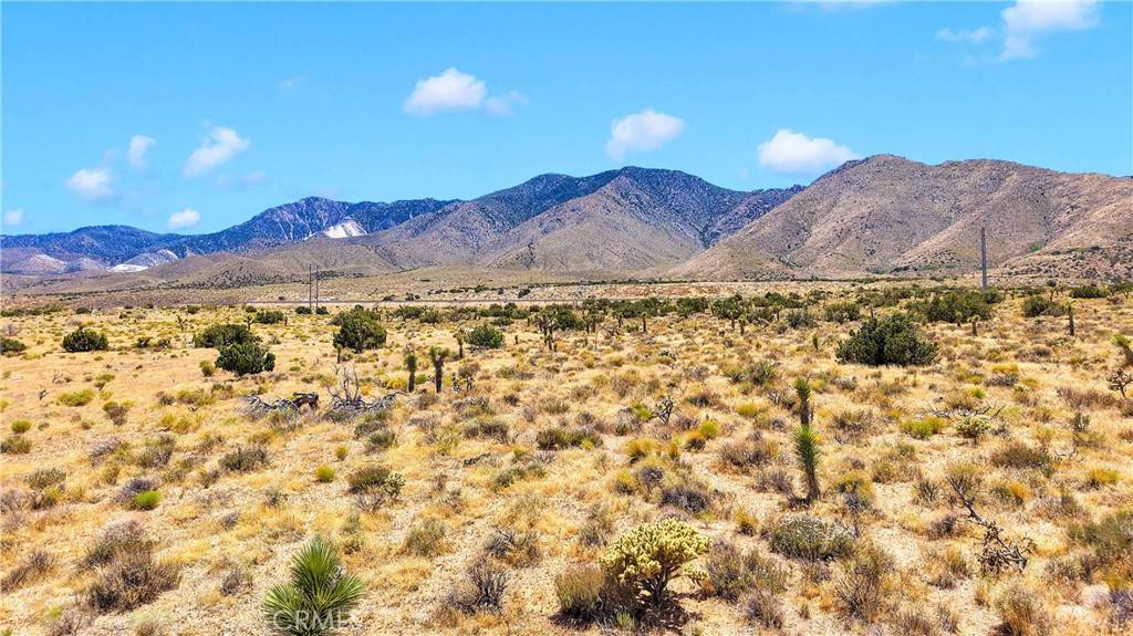 Lucerne Valley, CA 92356,0 Near Powerline Rd