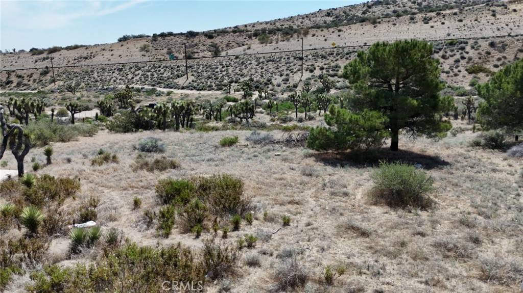 Pinon Hills, CA 92372,0 Pipeline