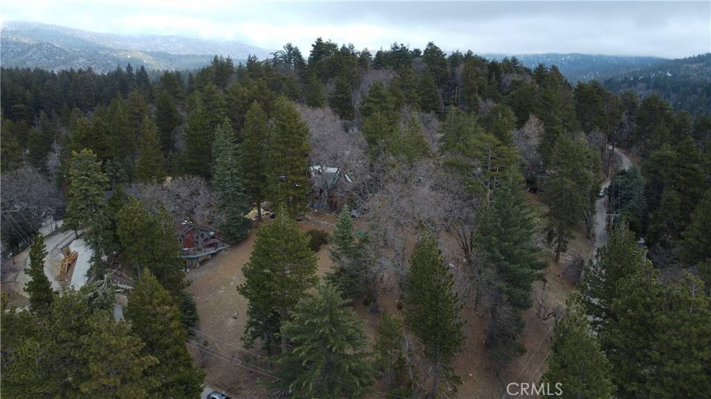 Running Springs, CA 92382,701 Preston DR