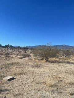 Pinon Hills, CA 92372,0 Pine Tree RD