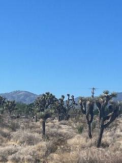 Pinon Hills, CA 92372,0 Pine Tree RD