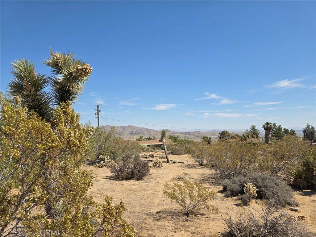 Joshua Tree, CA 92252,0 La Mirada TRL