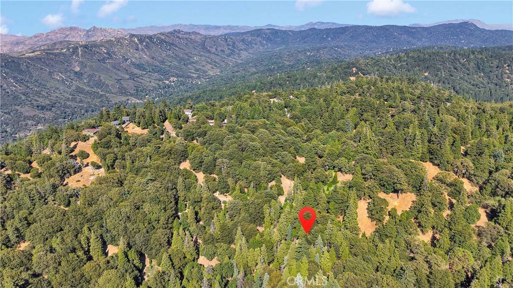 Cedarpines Park, CA 92322,0 Mojave River RD