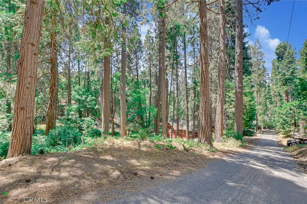 Crestline, CA 92325,590 Electra DR