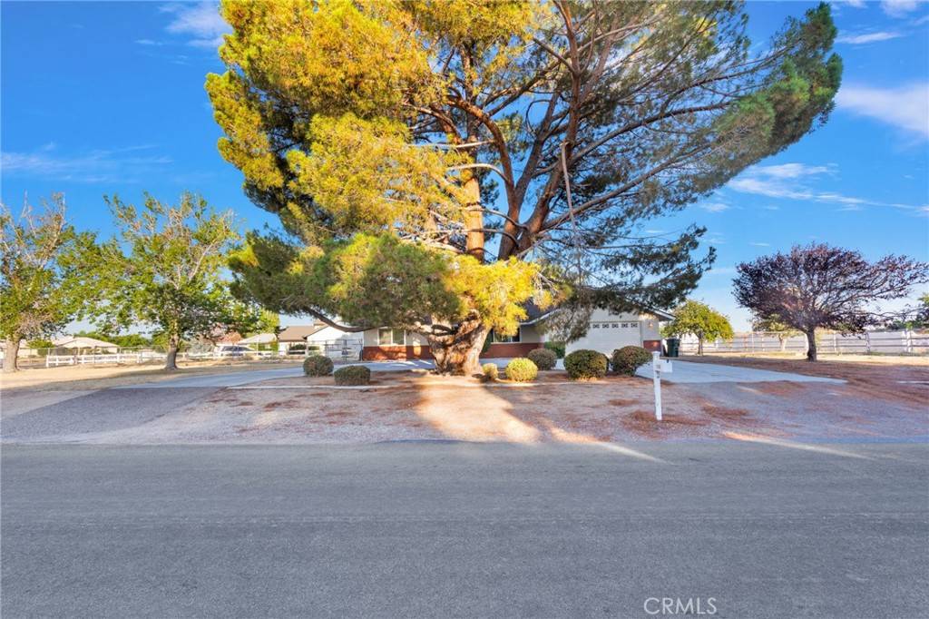 Apple Valley, CA 92308,12490 Palomino LN