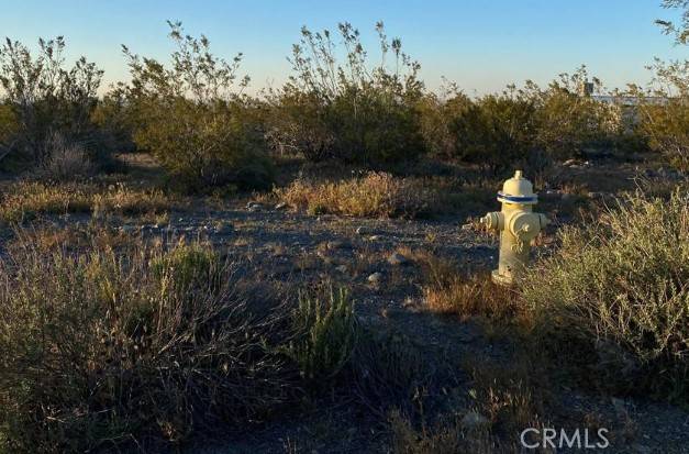 Pinon Hills, CA 92372,0 Calaveras