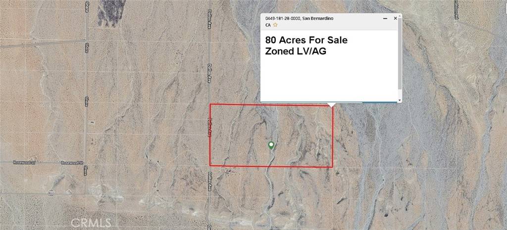 Lucerne Valley, CA 92356,44918128 Dallas AVE