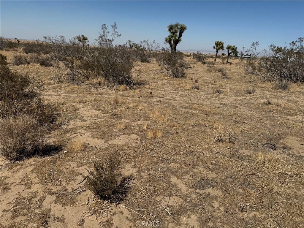 Phelan, CA 92371,12435 Acanthus ST