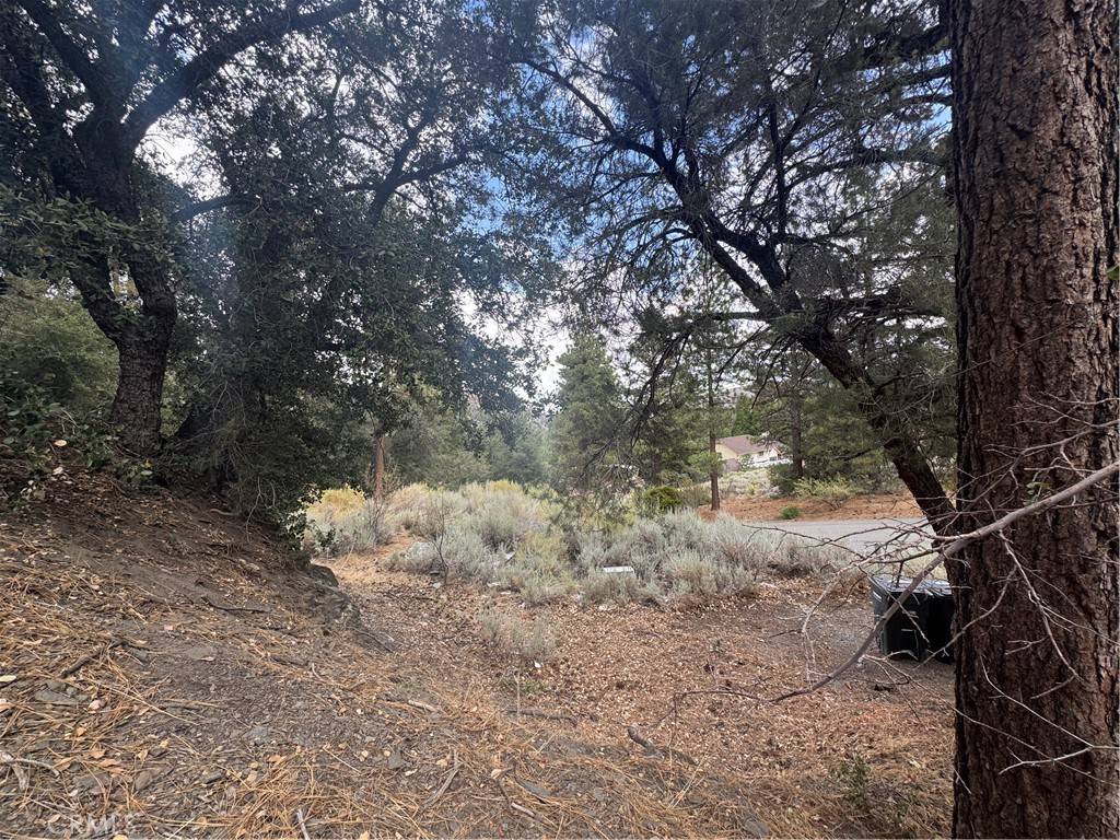 Wrightwood, CA 92397,1772 Ash RD