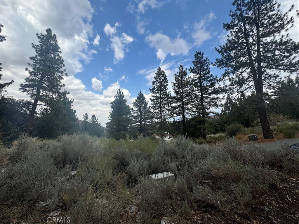 Wrightwood, CA 92397,1772 Ash RD