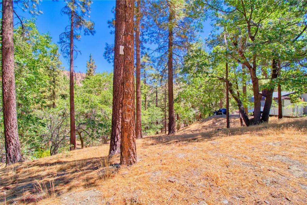 Wrightwood, CA 92397,0 Oriole RD