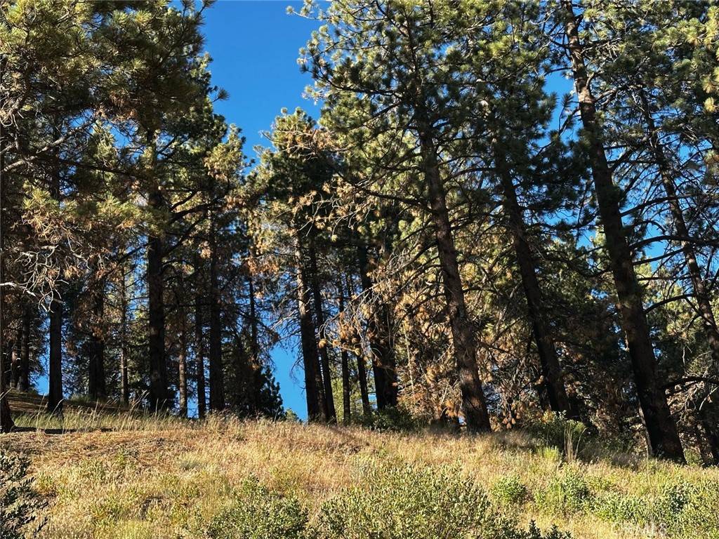 Running Springs, CA 92382,1 Conway Dr DR