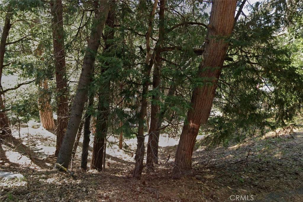 Cedarpines Park, CA 92322,1 Crest Forest DR