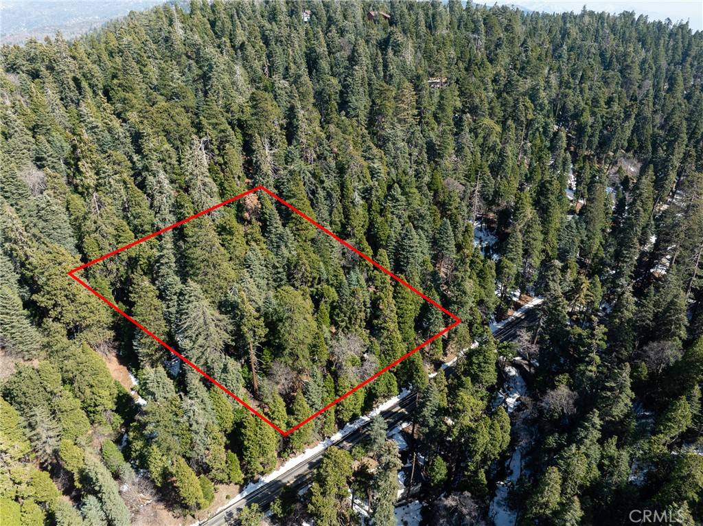 Cedar Glen, CA 92321,29629 Little Bear Creek RD