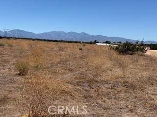 Oak Hills, CA 92344,13025 Stuveling