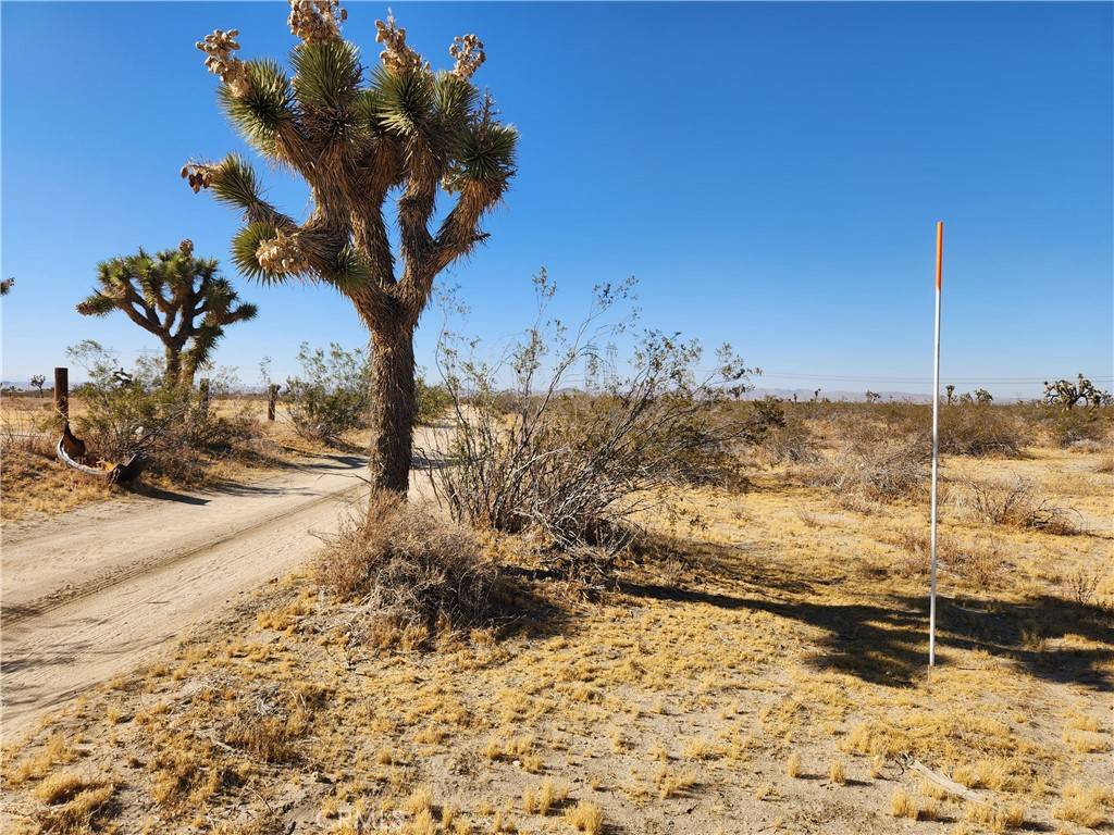 Pinon Hills, CA 92372,40 AC Pomona RD