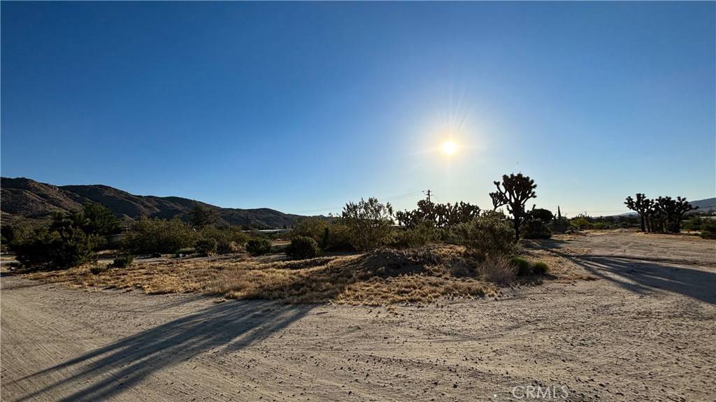 Yucca Valley, CA 92284,771 Scarvan RD