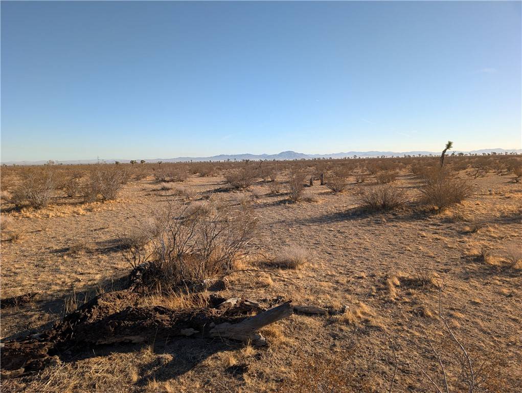 Phelan, CA 92371,0 Wilson Ranch Rd