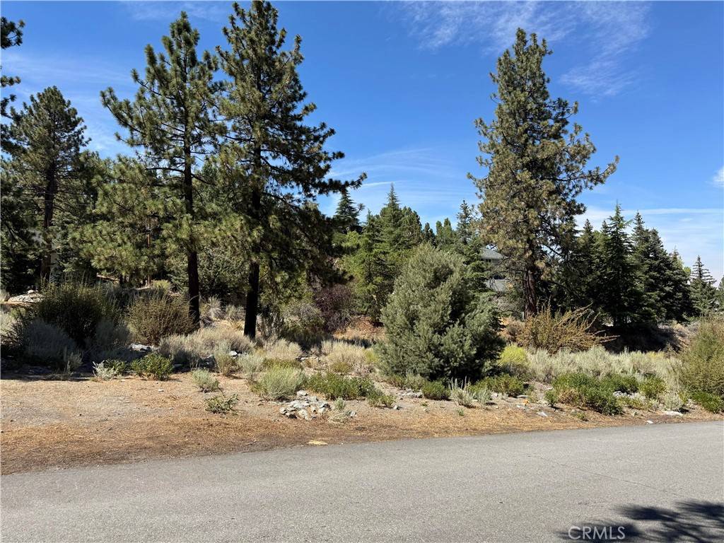 Wrightwood, CA 92397,0 Zermatt DR